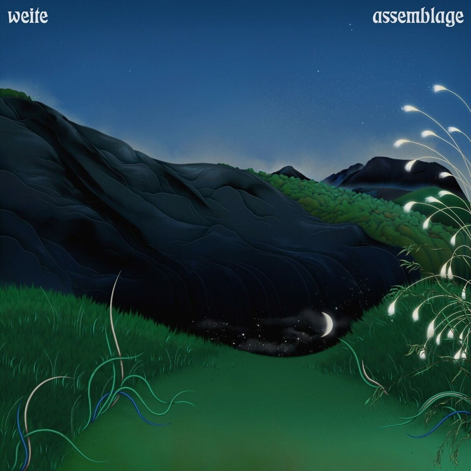 LP platňa Weite - Assemblage (Limited Edition) (LP)
