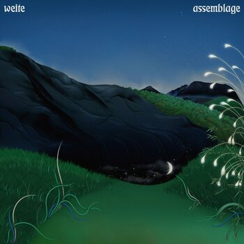 LP platňa Weite - Assemblage (Limited Edition) (LP) - 1