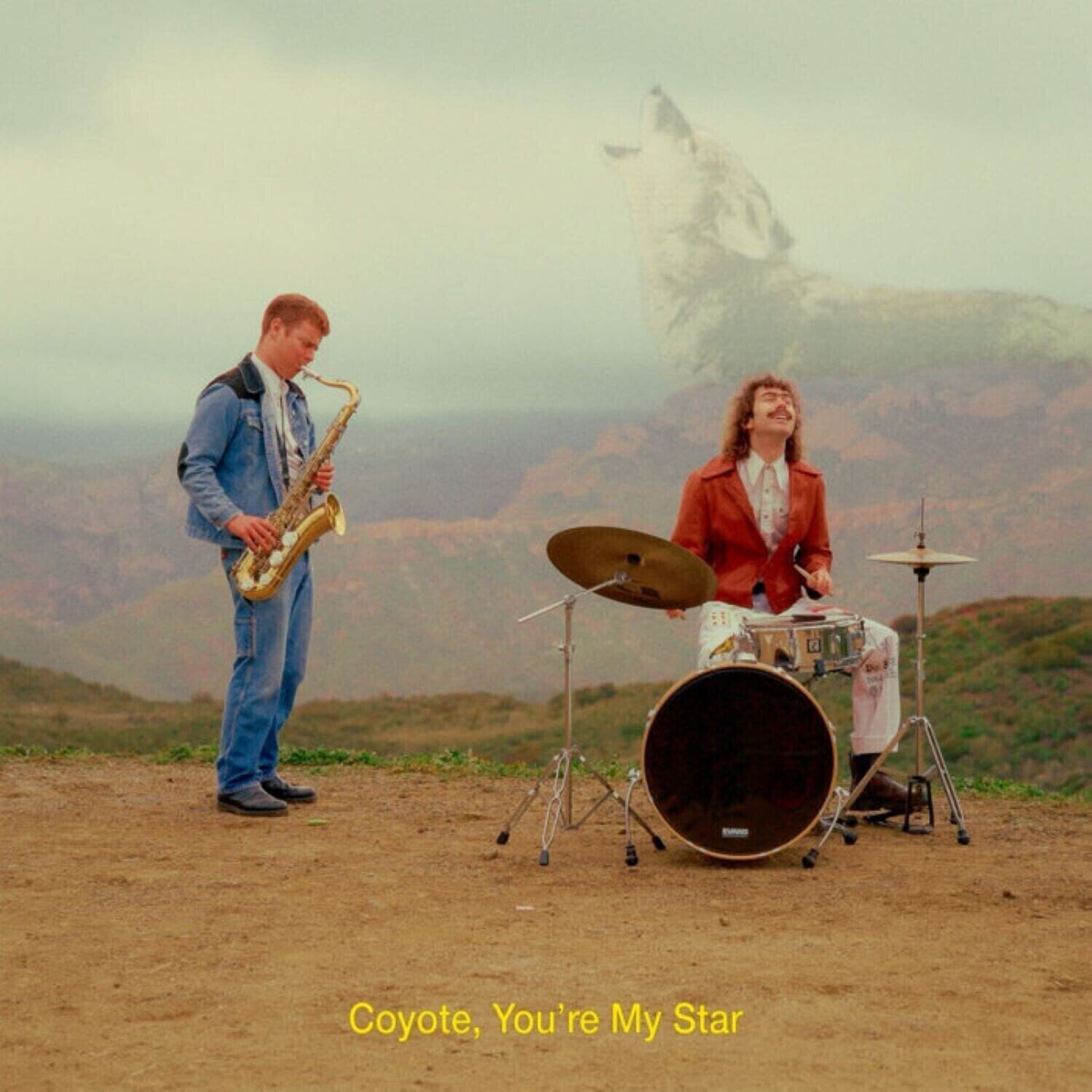 LP deska Dana and Alden - Coyote, You're My Star (LP)