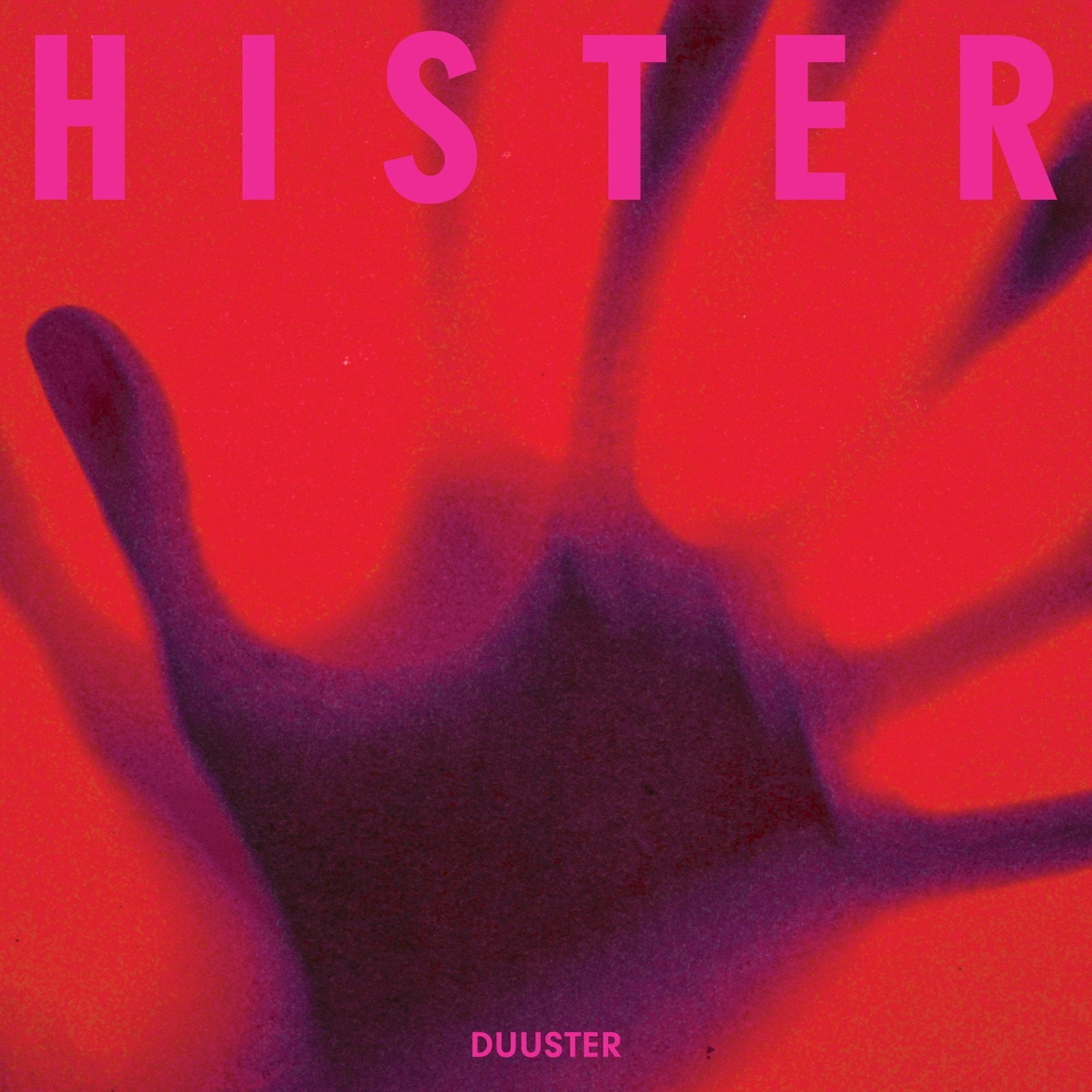 Disco de vinilo Hister - Duuster (LP)