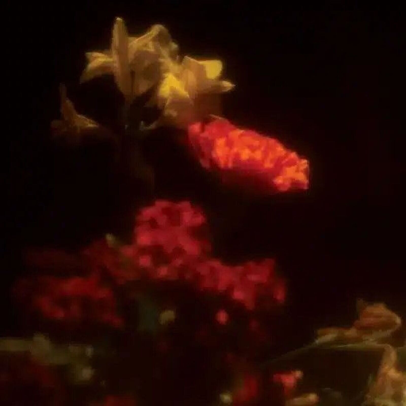 LP plošča Grégoire Gerstmans - Hypnagogie (LP)