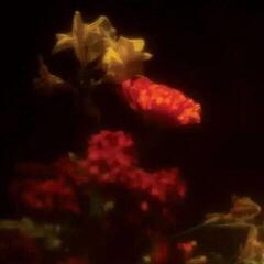 Disque vinyle Grégoire Gerstmans - Hypnagogie (LP)