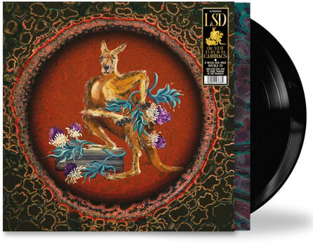 Disco in vinile Cardiacs - LSD (2 LP) - 1