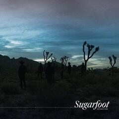 Disco de vinil Sugarfoot - Different Stars (LP + CD)
