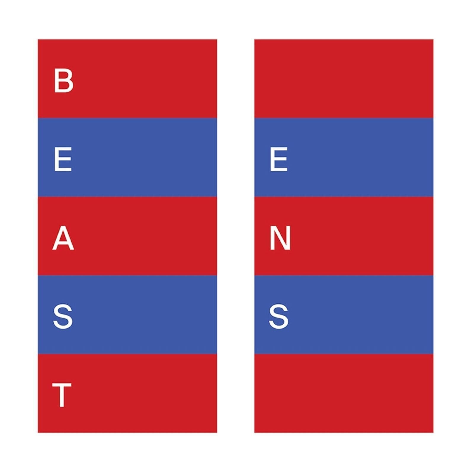 Vinyl Record Beast - Ens (LP)