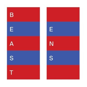 Vinyl Record Beast - Ens (LP) - 1