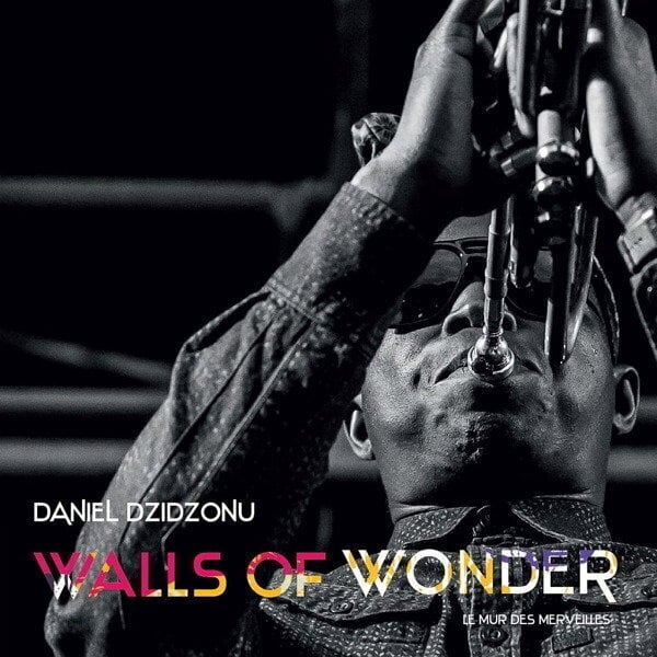 Грамофонна плоча Daniel Dzidzonu - Walls Of Wonder (LP)