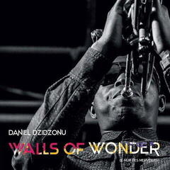Грамофонна плоча Daniel Dzidzonu - Walls Of Wonder (LP)