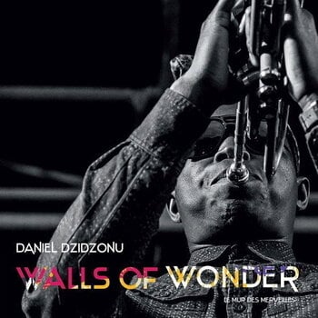 Грамофонна плоча Daniel Dzidzonu - Walls Of Wonder (LP) - 1