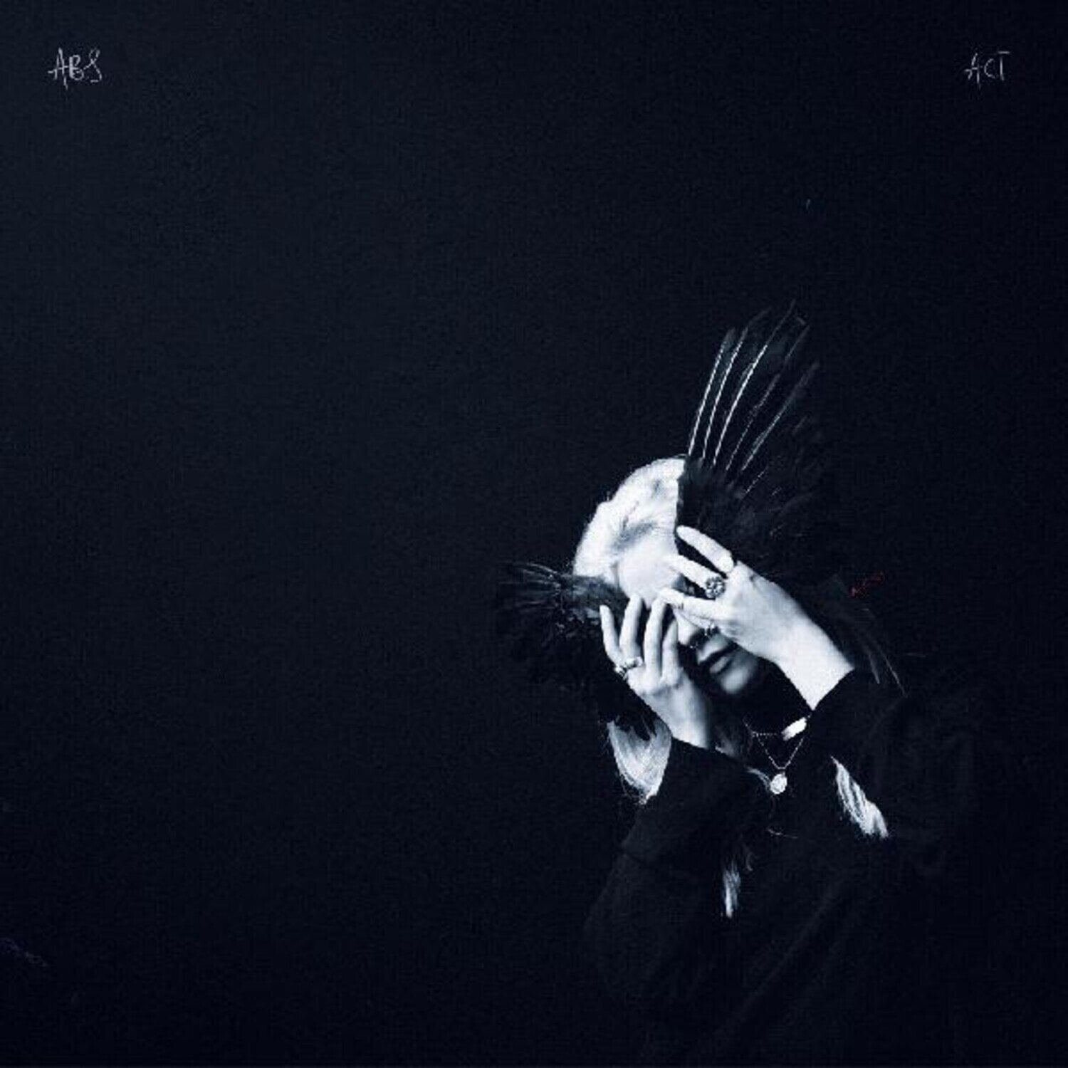 LP Anna B Savage - A Common Turn (LP)