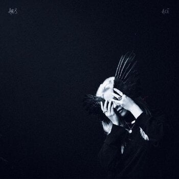 LP Anna B Savage - A Common Turn (LP) - 1