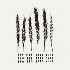 LP Lo! - The Gleaners (LP)