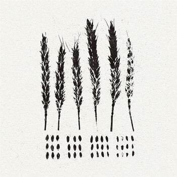 LP Lo! - The Gleaners (LP) - 1