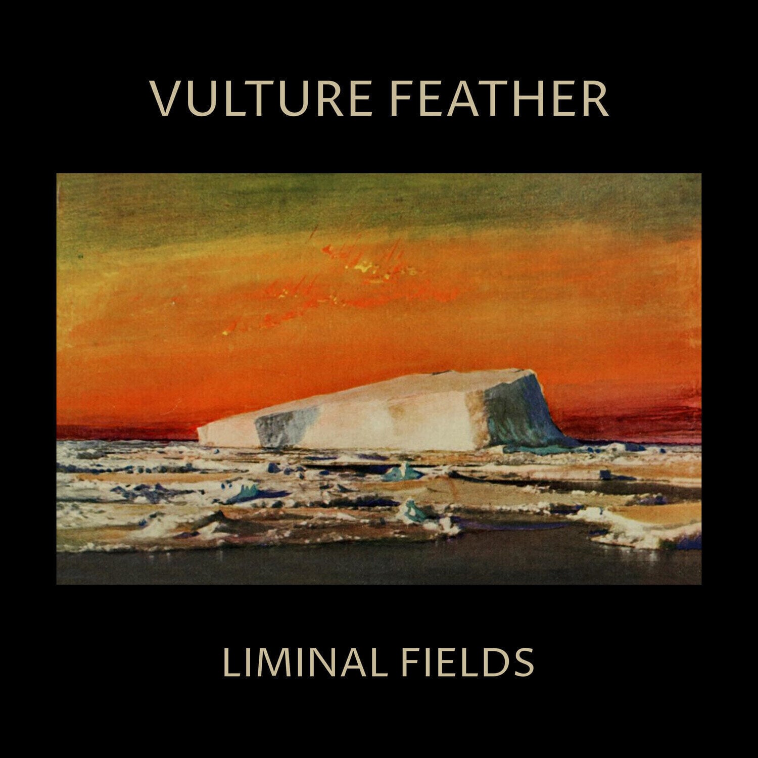 Δίσκος LP Vulture Feather - Liminal Fields (Limited Edition) (Bone Coloured) (LP)