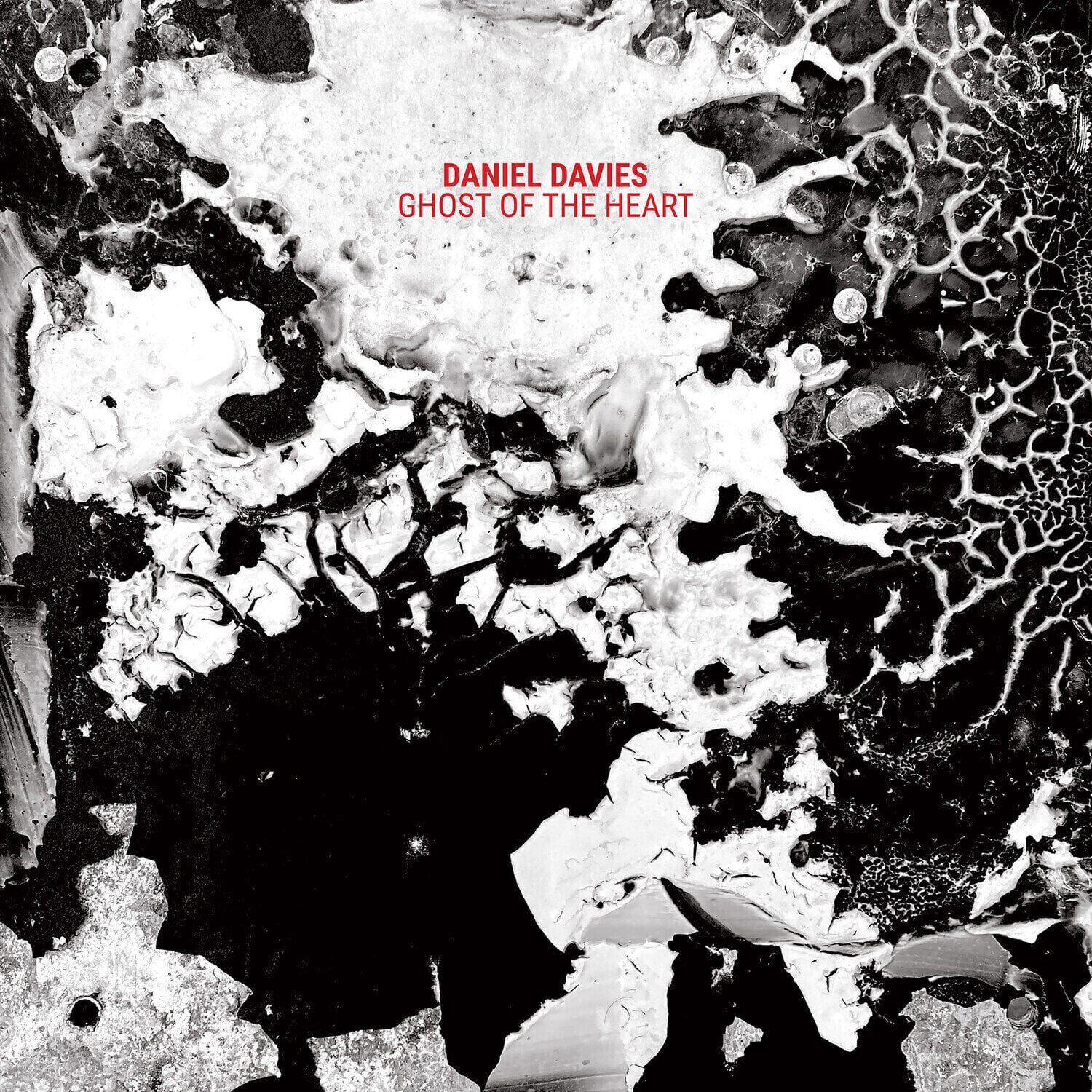 LP plošča Daniel Davies - Ghost Of The Heart (Limited Edition) (Clear Coloured) (LP)