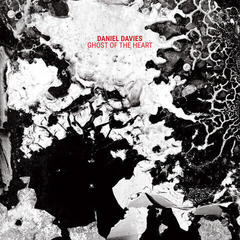 LP plošča Daniel Davies - Ghost Of The Heart (Limited Edition) (Clear Coloured) (LP)