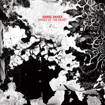 LP plošča Daniel Davies - Ghost Of The Heart (Limited Edition) (Clear Coloured) (LP) - 1