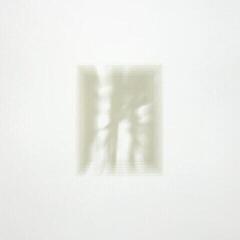 Грамофонна плоча The Fat White Family - Forgiveness Is Yours (Limited Edition) (Clear Coloured) (LP)