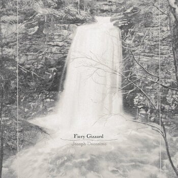 LP plošča Joseph Decosimo - Fiery Gizzard (LP) - 1