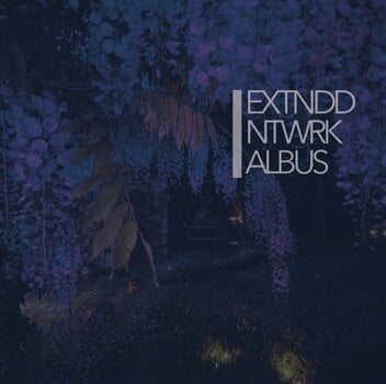 Disco in vinile Extnddntwrk - Albus (Limited Edition) (Cobalt Blue Coloured) (2 LP) - 1