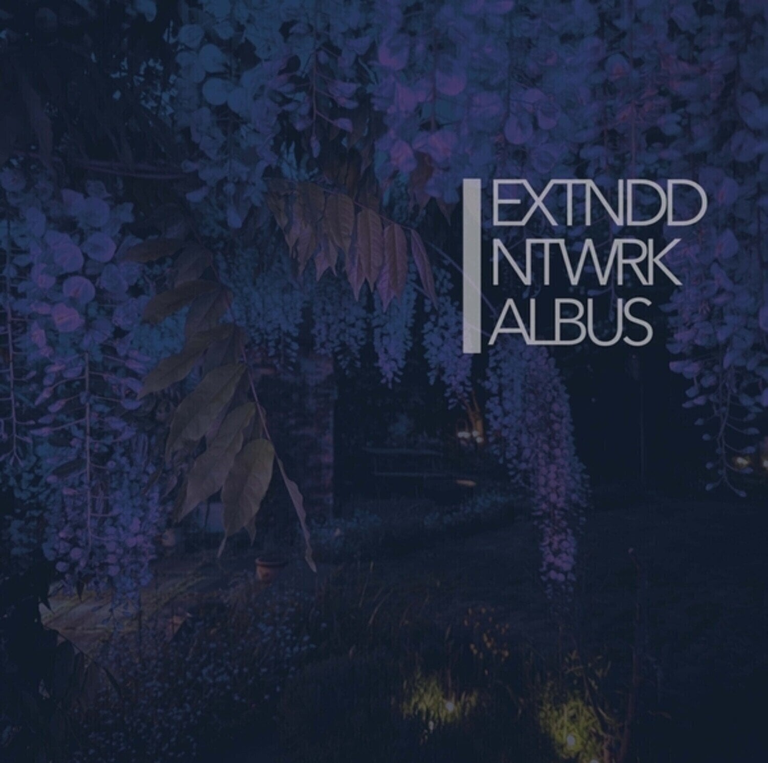 Schallplatte Extnddntwrk - Albus (2 LP)