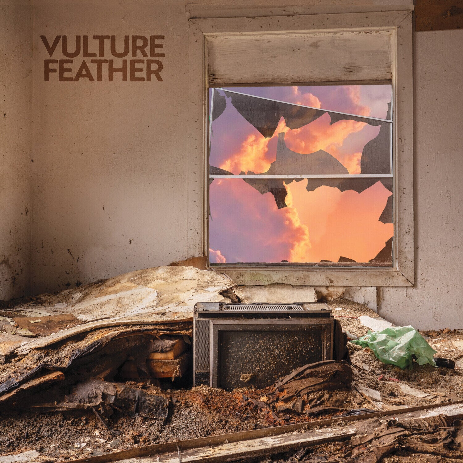 LP ploča Vulture Feather - It Will Be Like Now (Limited Edition) (Coloured) (LP)