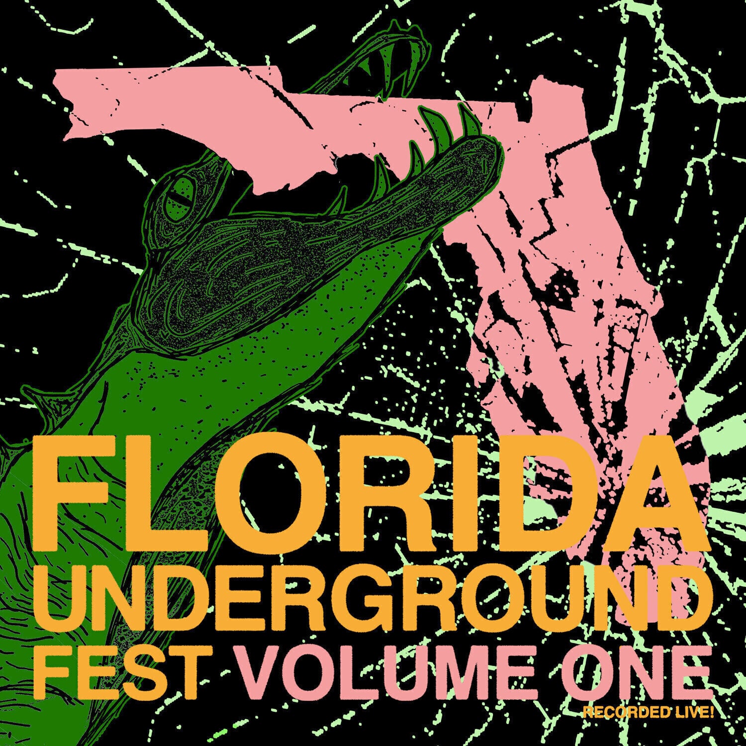 LP ploča Various Artists - Florida Underground Fest Vol.1 (LP)