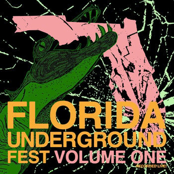 LP ploča Various Artists - Florida Underground Fest Vol.1 (LP) - 1