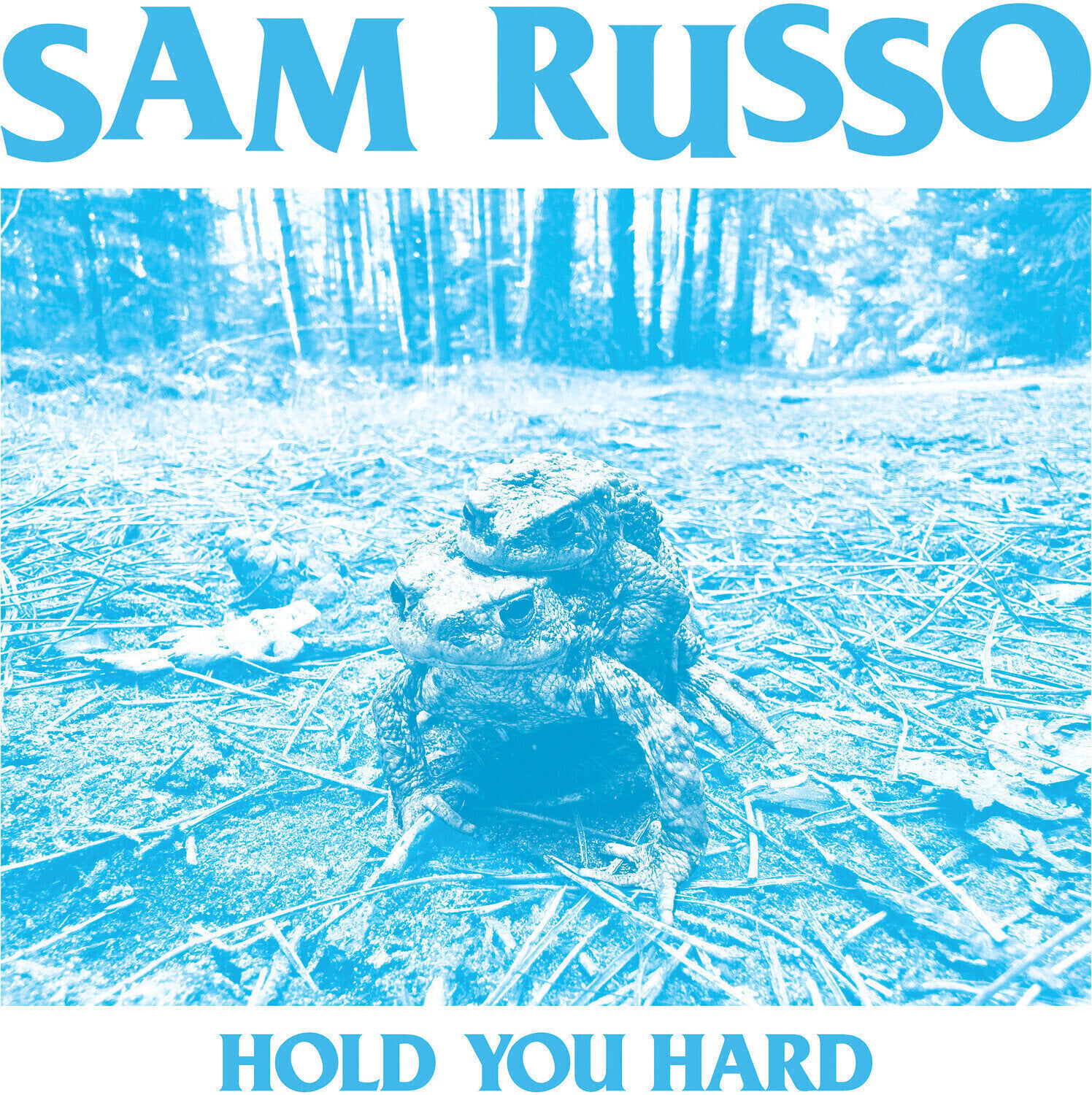 LP platňa Sam Russo - Hold You Hard (LP)