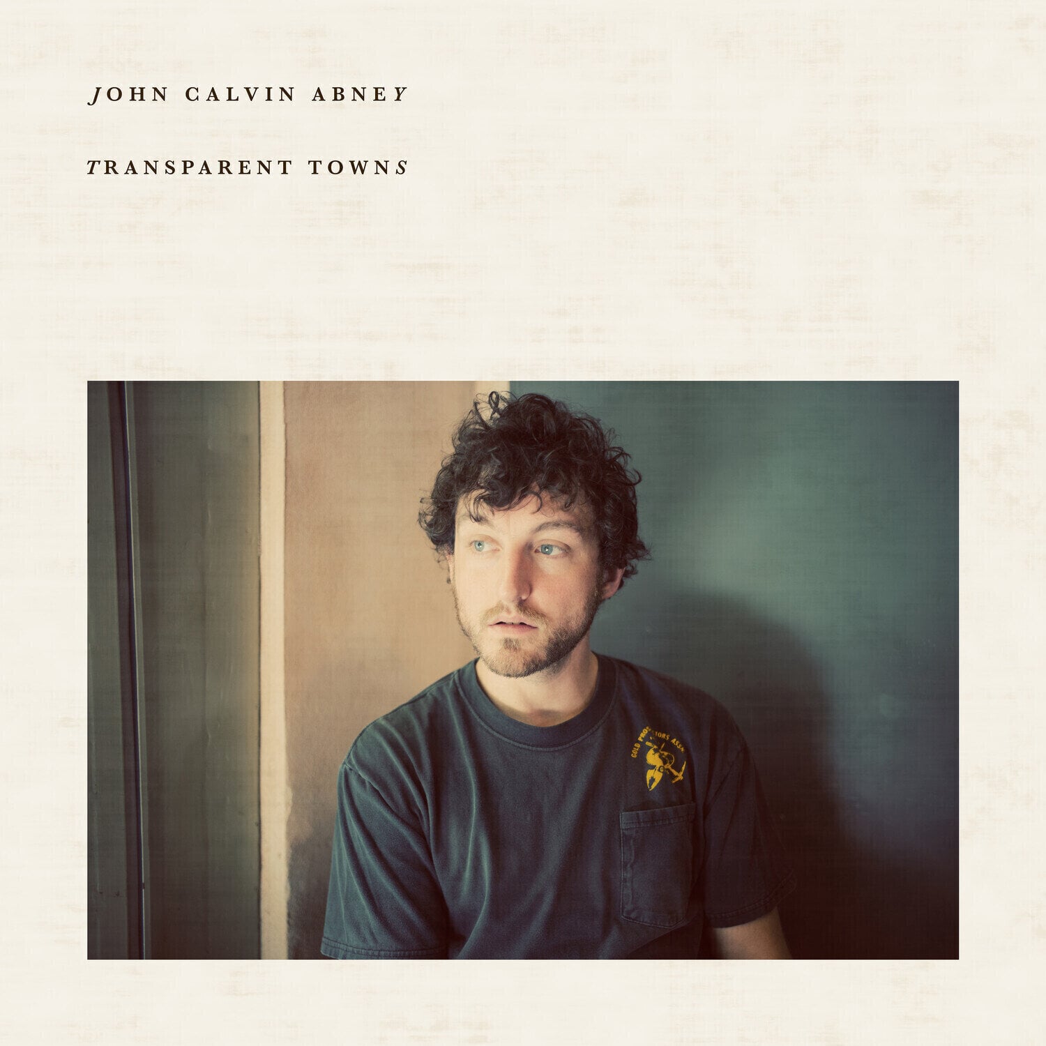 Vinylskiva John Calvin Abney - Transparent Towns (LP)