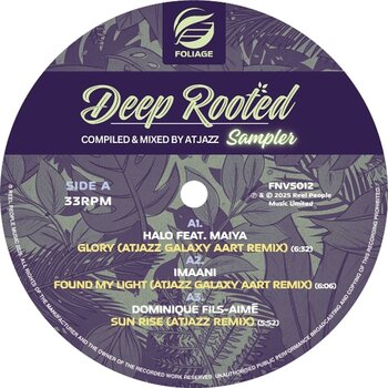 LP ploča Various Artists - Deep Rooted (Compiled & Mixed By Atjazz) Vinyl Sampler (Limited Edition) (LP) - 1