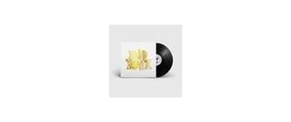 Vinylplade Hang Youth - Grootste Hits (LP)