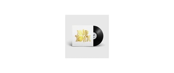 Vinylplade Hang Youth - Grootste Hits (LP) - 1