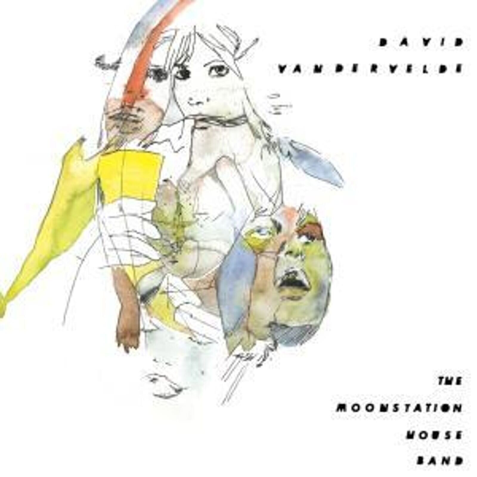 Disco in vinile David Vandervelde - The Moonstation House Band (LP)
