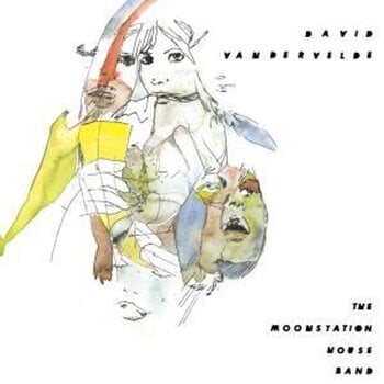 Disco in vinile David Vandervelde - The Moonstation House Band (LP) - 1