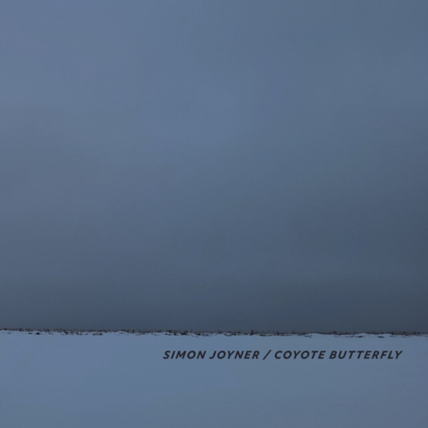 LP ploča Simon Joyner - Coyote Butterfly (LP)