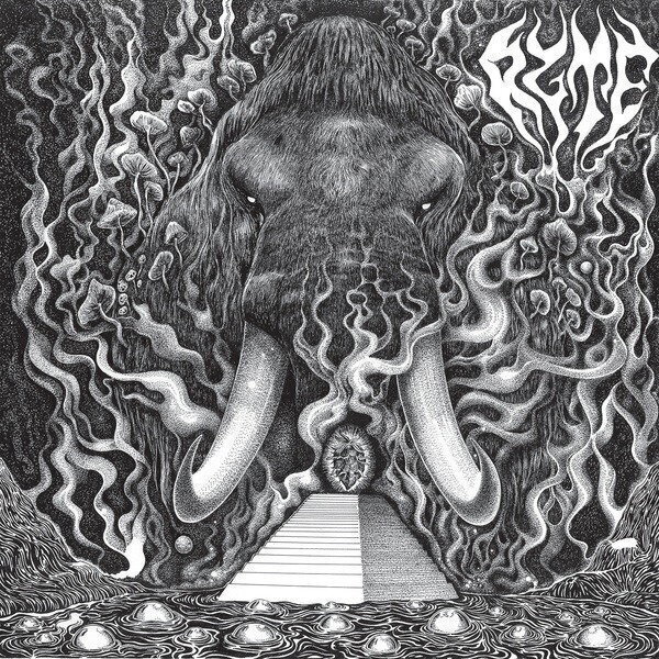 Vinyl Record Ryte - Ryte (LP)