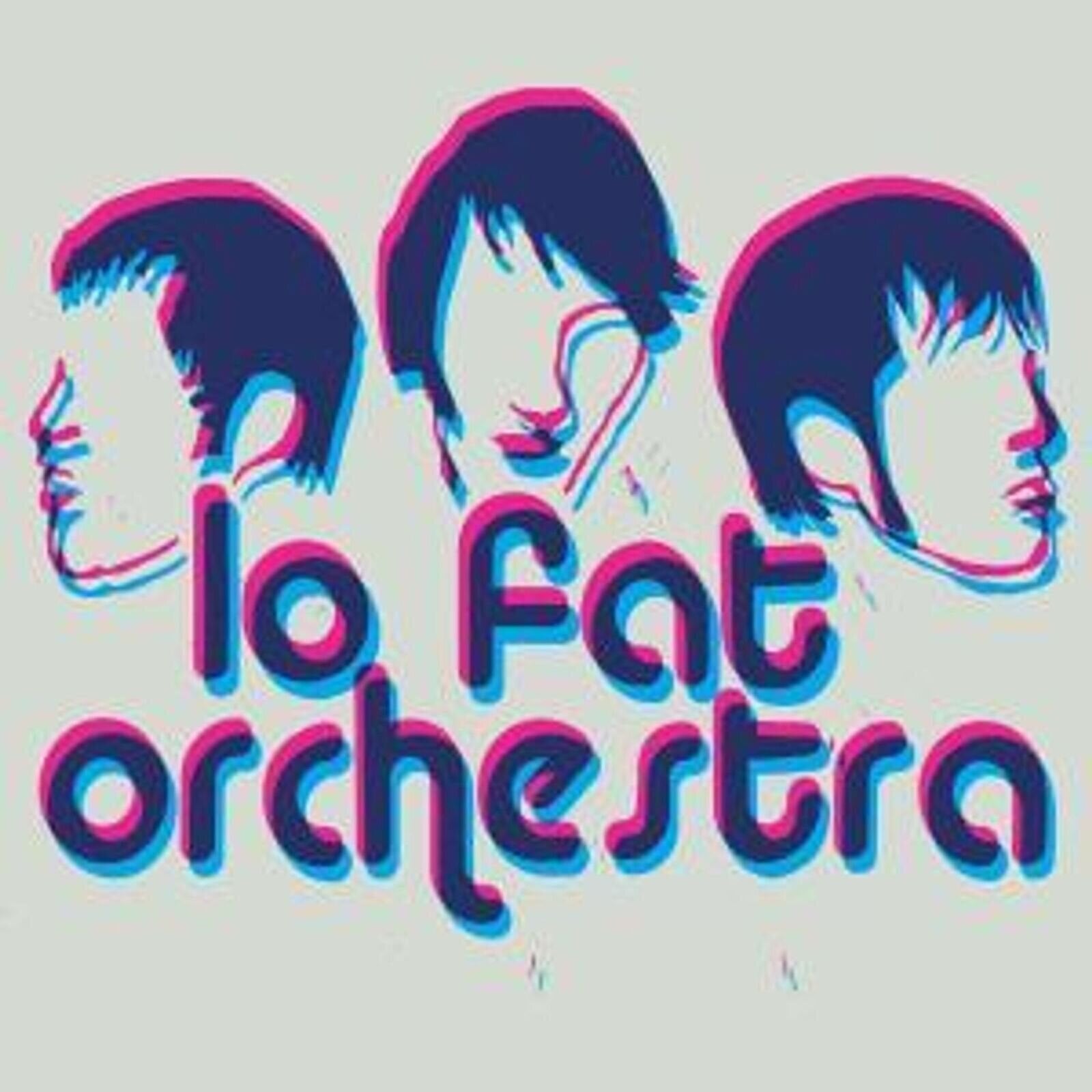 Vinyylilevy Lo Fat Orchestra - Questions For Honey (LP)