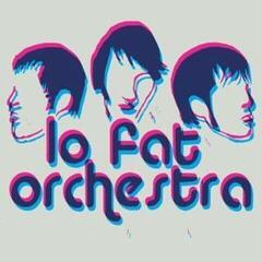 Vinyylilevy Lo Fat Orchestra - Questions For Honey (LP)