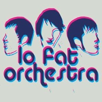 Vinyylilevy Lo Fat Orchestra - Questions For Honey (LP) - 1