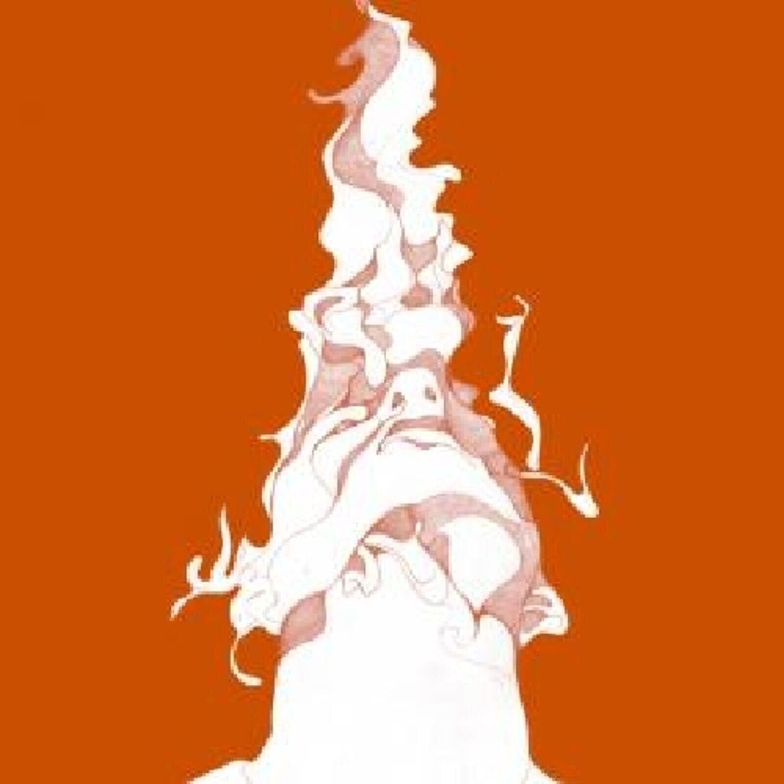 Vinyylilevy Vibracathedral Orchestra - Smoke Song (Limited Edition) (LP)