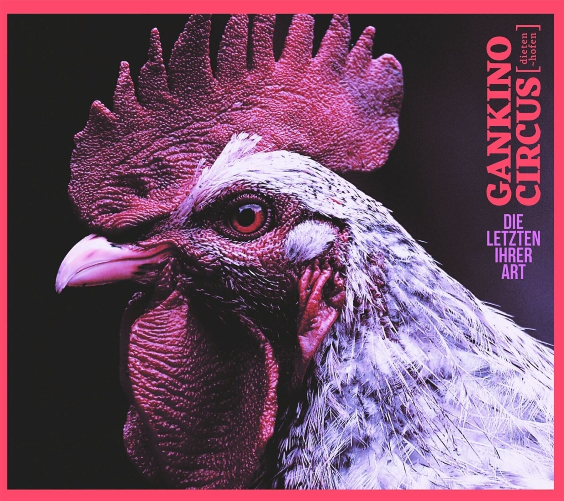 Disco in vinile Gankino Circus - Die Letzten Ihrer Art (LP)