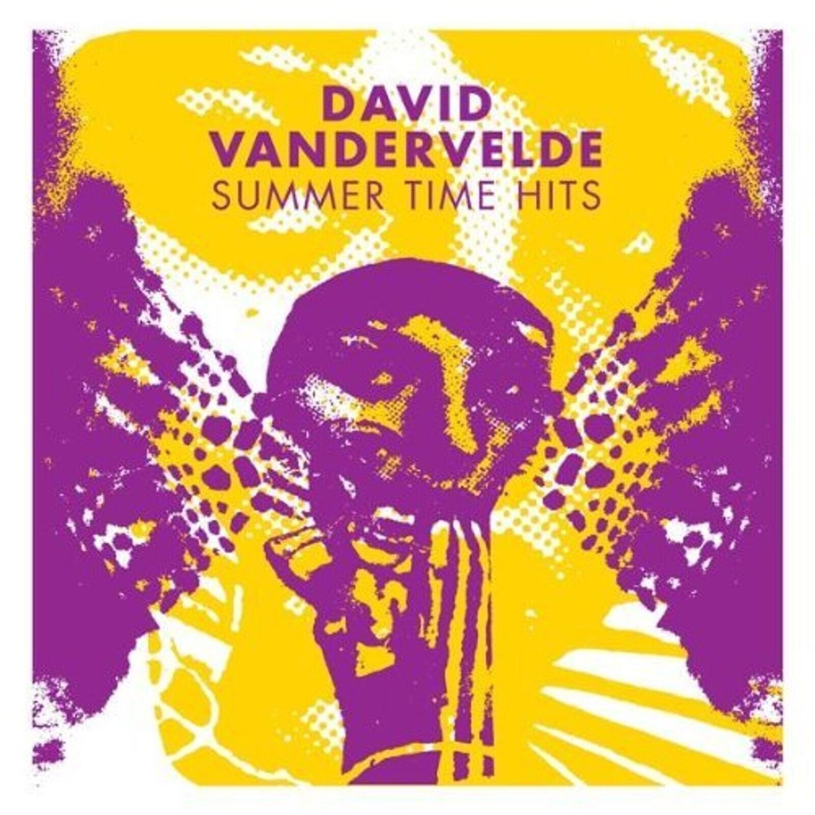 Disco in vinile David Vandervelde - Summer Time Hits (LP)