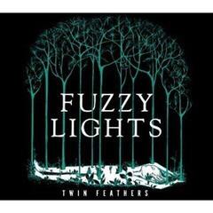 LP platňa Fuzzy Lights - Twin Feathers (2 LP)