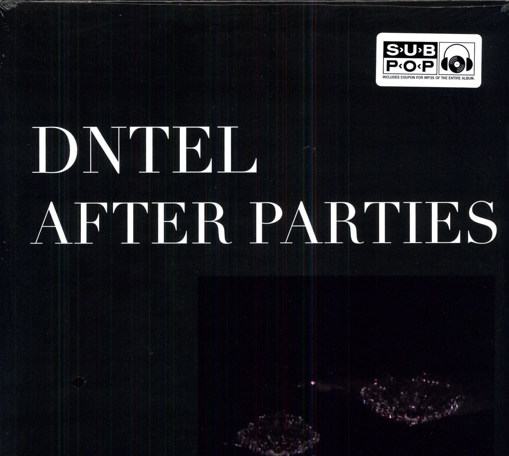 Vinyylilevy Dntel - After Parties II (EP)
