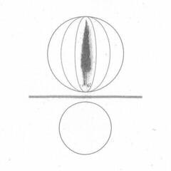 Vinyl Record Stephen O'Malley - Spheres Collapser (LP)