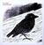 Vinüülplaat RM Hubbert - First & Last (LP)