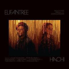 Disco de vinil Elifantree - Hachi (2 LP)