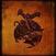 Hanglemez The Soft Hills - The Bird Is Coming Down To Earth (LP)