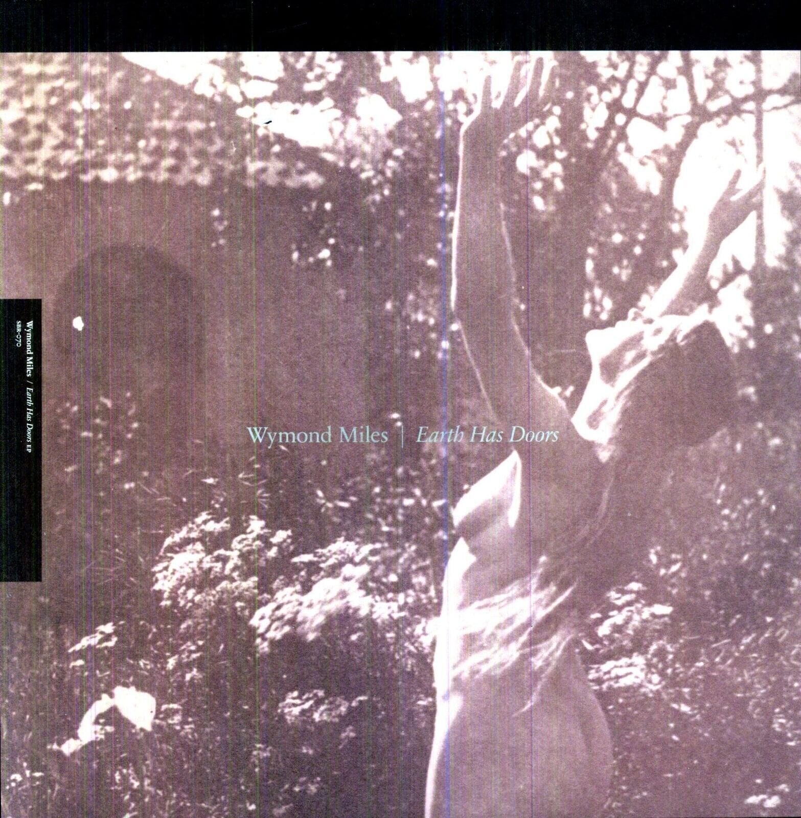 Грамофонна плоча Wymond Miles - Earth Has Doors (EP)